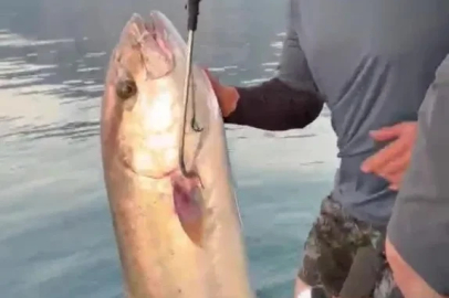 Konyaaltı Sahili’nde 56 kilogramlık kuzu balığı şaşkınlığı
