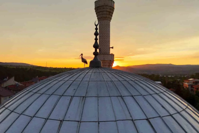 Leylekler gün batımını cami kubbesinde karşıladı, mest eden anlar havadan görüntülendi
