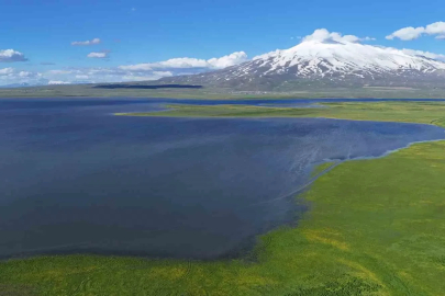 Süphan Dağı’nın eteklerindeki saklı cennet: Cil Gölü mest ediyor
