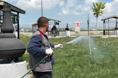 Sincan Belediyesinden yaz aylarına özel ilaçlama
