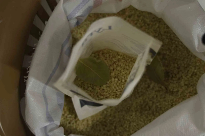 Tescilli Karacadağ pirinci testten geçti: Pestisit yok, protein yüksek
