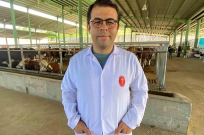 Kene tehdidine dikkat: 200’den fazla hastalık etkeni taşıyabiliyor
