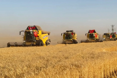 Türkiye’nin en büyük tarım işletmesinde hasat zamanı
