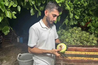 Ailecek enginar soyucular: Soyması 10 saniye sürüyor
