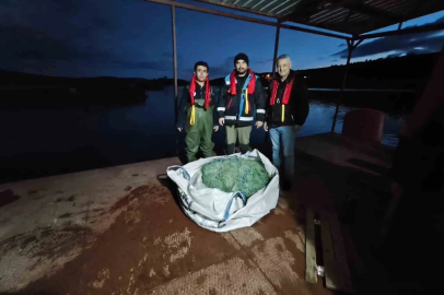 Kastamonu’da baraj gölünde yüzlerce metre hayalet ağ ele geçirildi: 200 kilogram sazan kurtarıldı
