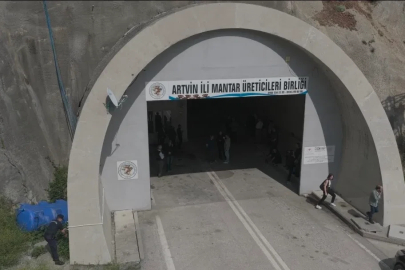 Tünelde üretilen istiridye mantarının ilk hasadı gerçekleştirildi
