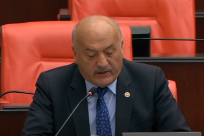 Milletvekili Karaman TBMM'de Erzincan'ın tarım yatırımlarını anlattı
