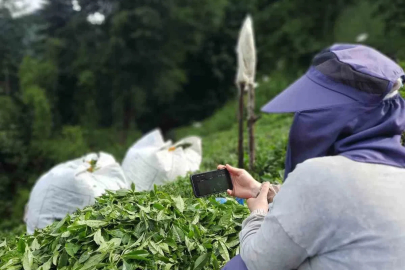 Rize’de çay bahçesinde milli maç heyecanı
