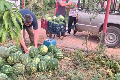 Hayırsever çiftçinin tarlası bu yıl öğrencilerin için hasat edildi
