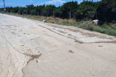 Vatandaş belediyeden umudu kesince cebinden para verip çukura beton döktü
