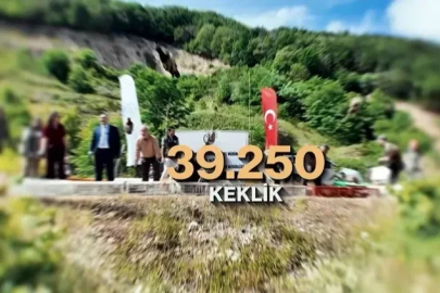 Kene ve kahverengi kokarcaya karşı doğal mücadele: 51 bin keklik ve sülün salınacak
