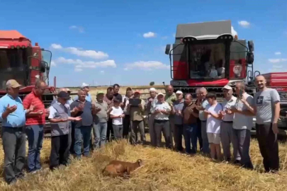 Edirne’de buğday hasadı dualarla başladı

