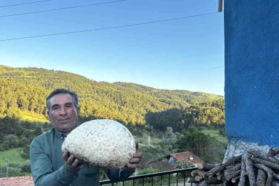 Vatandaşın bulduğu 5 kiloluk mantar şaşırttı

