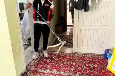 Evde yılan paniği
