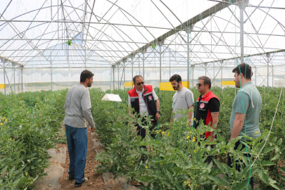 Erzincan'da seracılık faaliyetleri yerinde incelendi