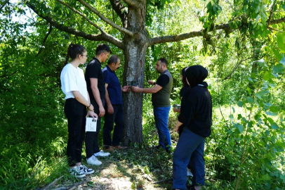 Şehir merkezine yakın köylere kadar inen ayı için Milli Parklar fotokapan kurdu
