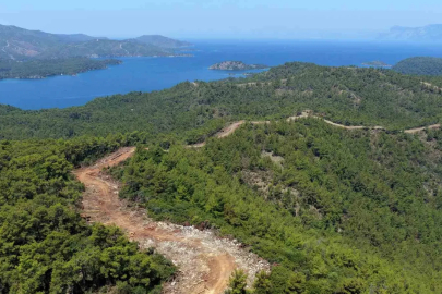 Muğla ve Aydın’da Orman yangın şerit yolu uzunluğu 2 bin kilometreye çıkıyor
