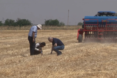 Şanlıurfa’da ’anız yakmadan üretim’ modeli yaygınlaşıyor: Toprak korunuyor çiftçi kazanıyor
