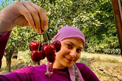 İhracatlık kirazda hasat dönemi başladı
