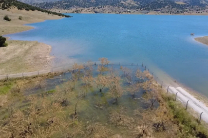 Yozgat’ta badem ağaçları sular altında kaldı
