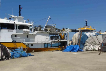 Balıkçıların yeni sezonda umudu palamut
