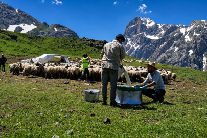 Zorlu yayla şartlarında tescilli lezzet üretiliyor