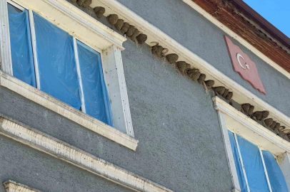 Kırlangıç yuvalarını bozmayıp pencereleri naylonla kapladılar
