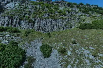 Kraliçe Tamara’nın gizemli mezarı için Posof iddiası gündemde
