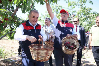 Elazığ’da 7 bin dekar alanda kiraz hasadı devam ediyor
