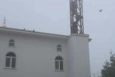 Güvercin yuvası minare yıkımını erteledi
