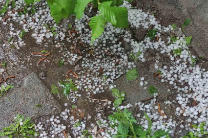Ardahan’da sağanak ve dolu yağışı tarım arazilerine zarar verdi
