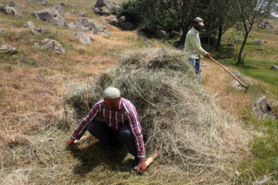 Erzincan’da vatandaşların kış hazırlığı