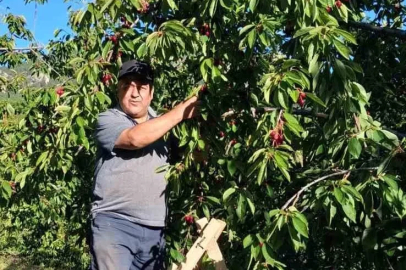 "Kirazda, 2024 yılında sattığımız fiyatları göremiyoruz"
