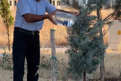 Oğlaklı Mahallesi hizmet bekliyor
