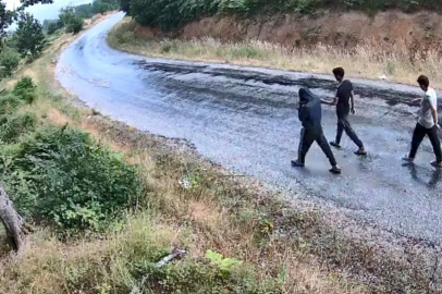 Jandarmanın fotokapanlarıyla 1 yılda bin 847 şüpheli yakalandı
