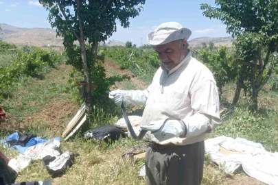 Batman’da bir vatandaş yakaladığı yılanı doğaya bıraktı
