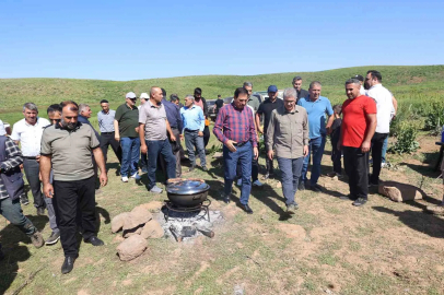 Bir zamanlar güvenlik nedeniyle kullanılamayan yaylalar, bugün hayvancılığın merkezi oldu
