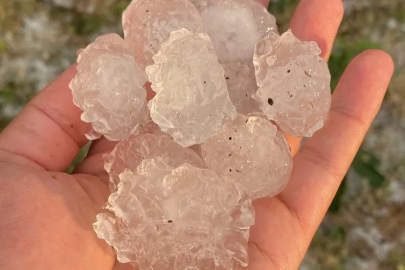 Tekirdağ’da dolu ayçiçeği ve karpuz tarlalarını vurdu
