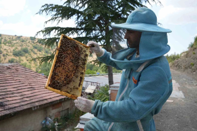 Bin 200 çeşit endemik bitki türüyle 4 kuşaktır süren gelenek: Kanyon balında 4 tonluk rekolte
