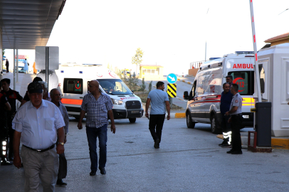 Arı sokmasına bağlı ciddi alerjik reaksiyonlar ölüme sebep olabilir
