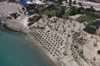 Önü plaj, arkası tarla: Organik plajda elektrik güneşten, ikramlar bahçeden
