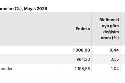 TÜİK: Tarımsal girdi fiyatları mayısta arttı