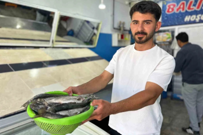 İnci kefali tezgâhlardaki yerini aldı
