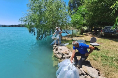 Manavgat’ta 400 bin balık yavrusu baraj gölünde bırakıldı
