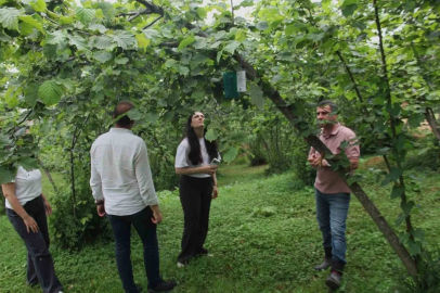Karadeniz Havzası’nda 3 ülkeden tarımsal iş birliği
