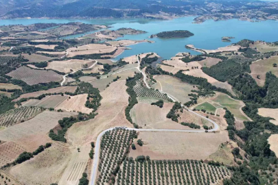 Baraj çevresi bal ormanına dönüşüyor
