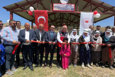 Yüksekova’da berivanlar gölgeliğe kavuştu
