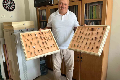 Uzmanından ’çekirge’ açıklaması: "Ülkemizde görülen durum bir salgın değil, mevsimsel bir durum"
