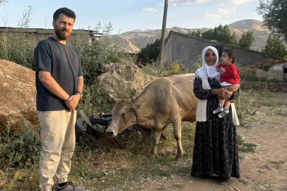İhlas Haber Ajansı’nın haberi Ayni teyzenin yüzünü güldürdü: İnekler kendisine ulaştı
