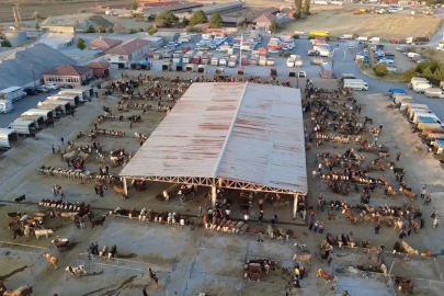 Hayvan fiyatları düşüşte, besiciler ‘Tam alım zamanı’ diyor
